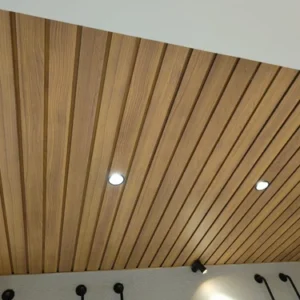 CEILINGS PANELS ( LITTLE TEAK)